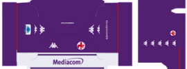 ACF Fiorentina PLS Kits 2023 home