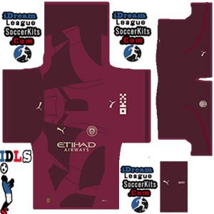 Manchester City PLS Kit 2025 Third