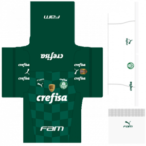 Palmeiras Home Kit 2023