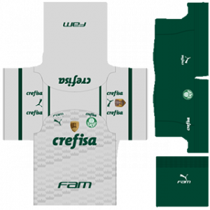 Palmeiras away Kit 2023