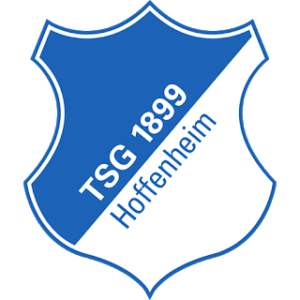 Hoffenheim Logo