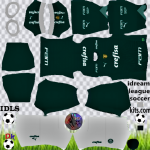 Palmeiras kits dls 2023 home