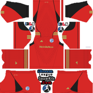 FC Schalke dls kit 2024 goalkeeper third