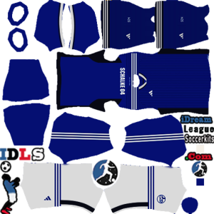 Schalke 04 kit dls 2024 home