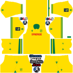 FC Nantes dls kit 2024 home temp