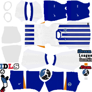 Brighton Hove Albion kit dls 25 home temp