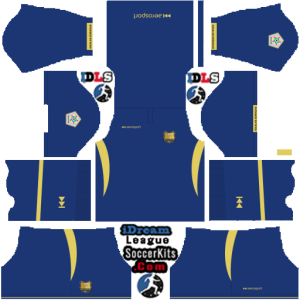 Golden Eagles dls kit 2024 gk home temp