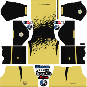 Golden Eagles dls kit 2024 home temp