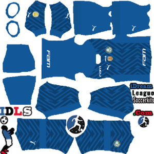 Palmeiras kit dls 2024 gk third