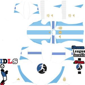 Argentina kit dls 2024 home