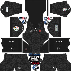 Switzerland kit dls euro 2024 gk third