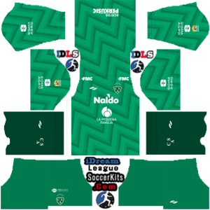 ca Sarmiento dls kit 2024 home