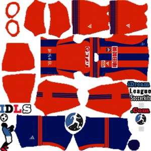 Albirex Niigata dls kit 2025 home temp