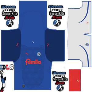 Holstein Kiel PLS Kit 2025 Home