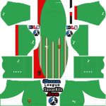 Mc Alger dls kit 2025 home