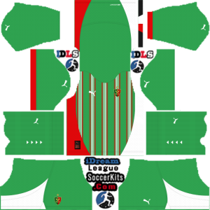 Mc Alger dls kit 2025 home