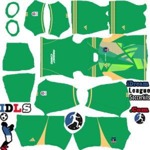 Colo Colo dls kit 2025 gk third