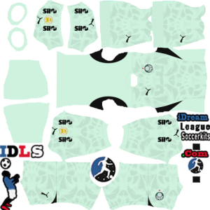 Palmeiras kit dls 2025 gk third