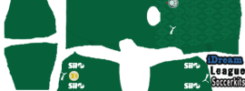 Palmeiras DLS Kits 2025