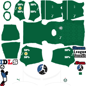 Palmeiras DLS Kits 2025