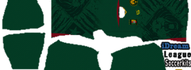 Cameroon DLS Kits 2025