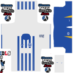 Brighton Hove Albion PLS Kit 2025 Home