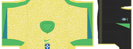Brazil PLS Copa America Kit 2024 Home