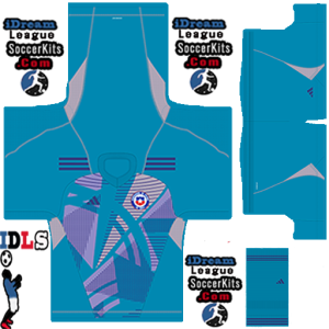 Chile PLS Copa America Kit 2024 GK Home