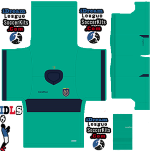 Ecuador PLS Copa America Kit 2024 GK Away