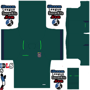 Ecuador PLS Copa America Kit 2024 GK Home