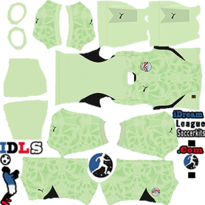 Egypt kit dls 2026 gk home leaked