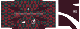 Mexico PLS Copa America Kit 2024 Home