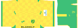 Norwich City PLS Kit 2025 Home