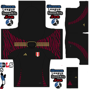 Peru PLS Copa America Kit 2024 Away