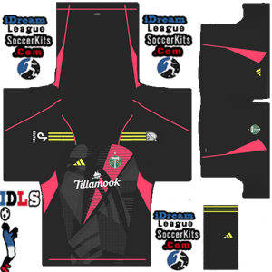 Portland Timbers PLS Kit 2024 GK Away