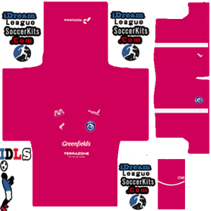 Arema PLS Kit 2025 GK Home