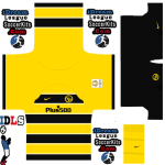 BSC Young Boys PLS Kit 2024 Home