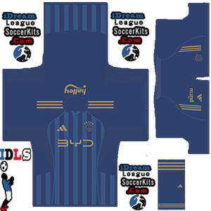 Fenerbahce SK PLS Kit 2026 third leaked