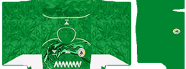 PSS Sleman PLS Kit 2025 Home