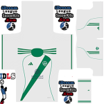 Al Ahli PLS Kit 2026 home leaked