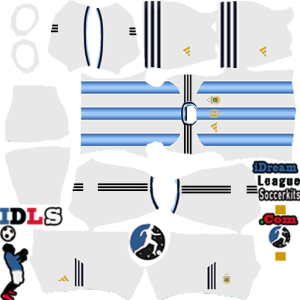 Argentina DLS Kits WC 2026