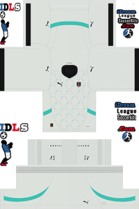 Austria FL Kit 2024 Away