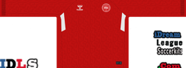 Denmark FL Kit 2024 Home