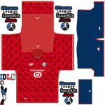 Lille PLS Kit 2026 home leaked