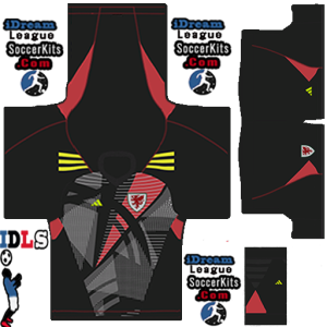 Wales PLS Kit 2026 gk home