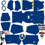 Bosnia and Herzegovina DLS Kits WC 2026
