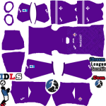 Fiorentina DLS Kits 2027